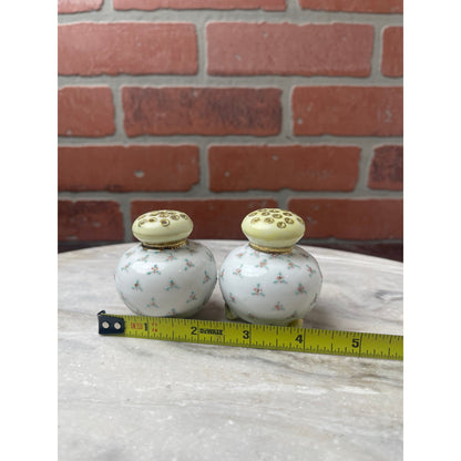 Shakers Salt Pepper Porcelain  Footed Hand Painted Floral Yellow Gold White VTG