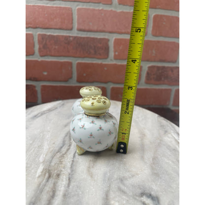 Shakers Salt Pepper Porcelain  Footed Hand Painted Floral Yellow Gold White VTG