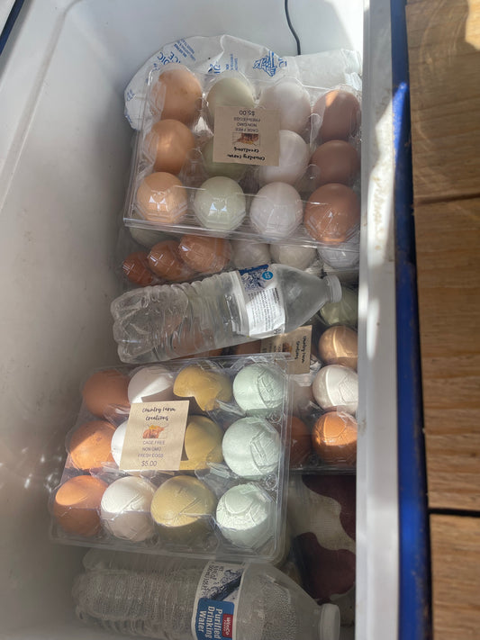 Eggs, Chicken